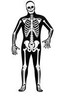 drawn skeleton costume