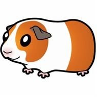 Cartoon Guinea Pig N7
