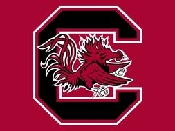 South Carolina Gamecocks Logo drawing
