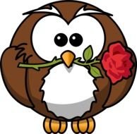 painted clever owl with red rose