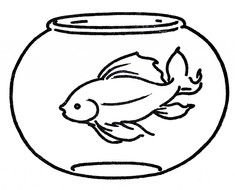 Black and white photo of fish in a aquarium