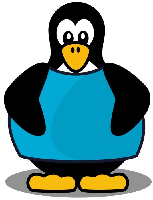 drawing of a penguin in blue clothes