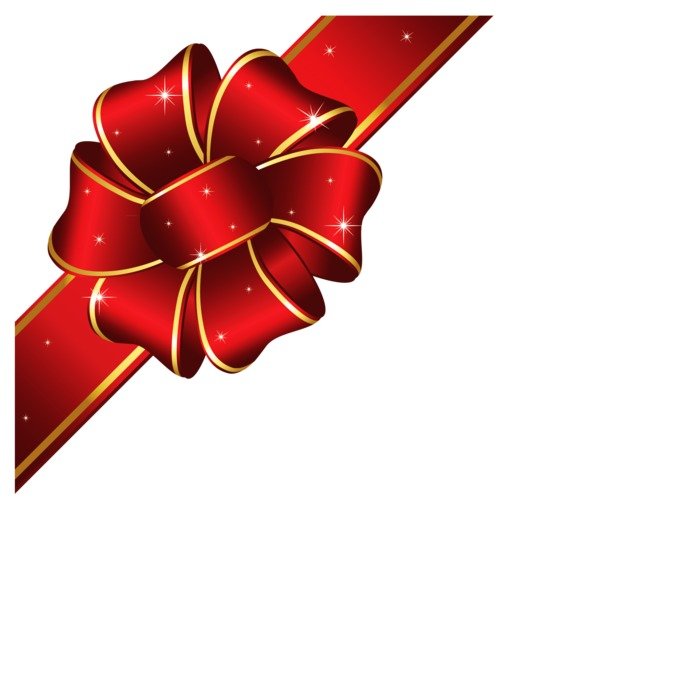 Gift Ribbon N8