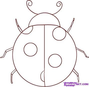 Simple Ladybug Drawing