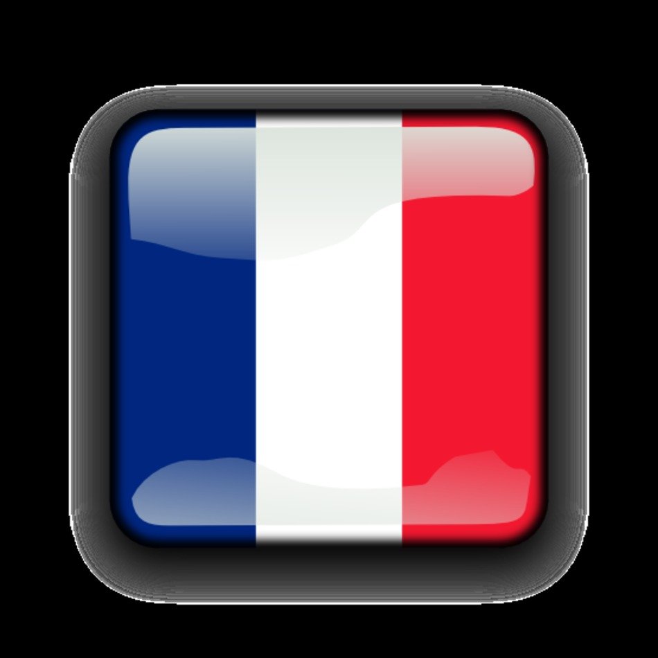 French Flag Clip Art N44