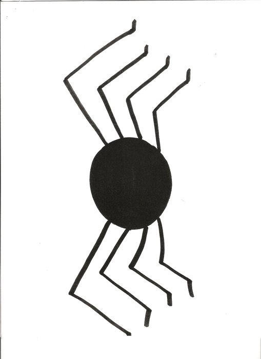 vertical image of a spider