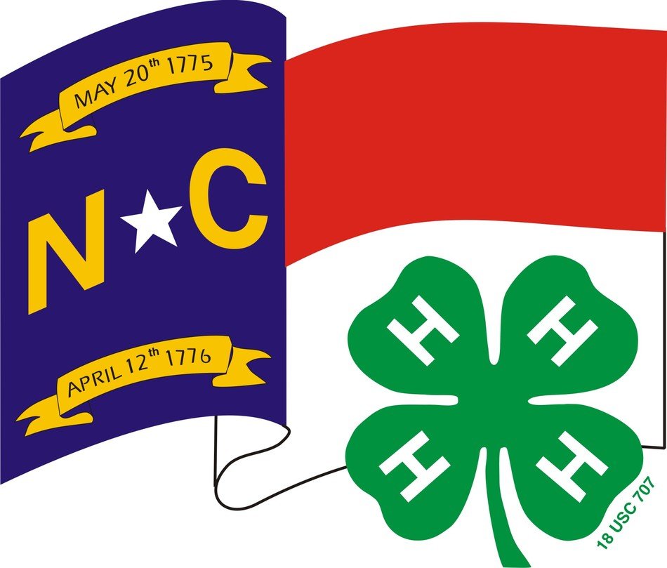H Flag drawing