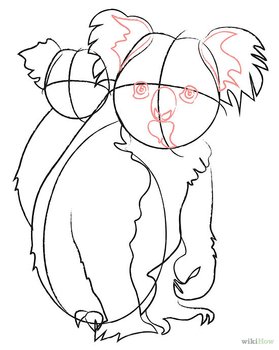 How To Draw A Koala Bear N2