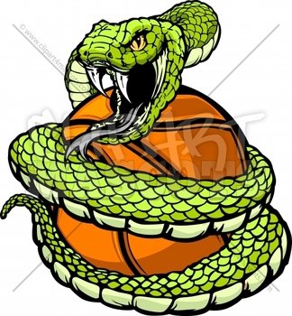 Coiled Snake N3