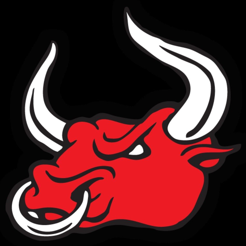 Bull Head Logo N14