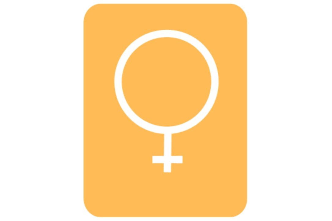 Woman Symbol Clip Art N11