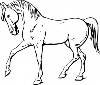 Horse Outline Clip Art N20