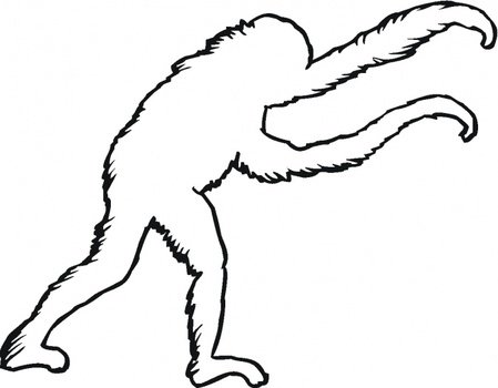 Orangutan Coloring Page