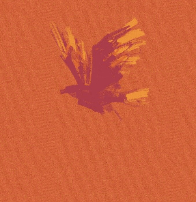 Loop Bird Animated GIF