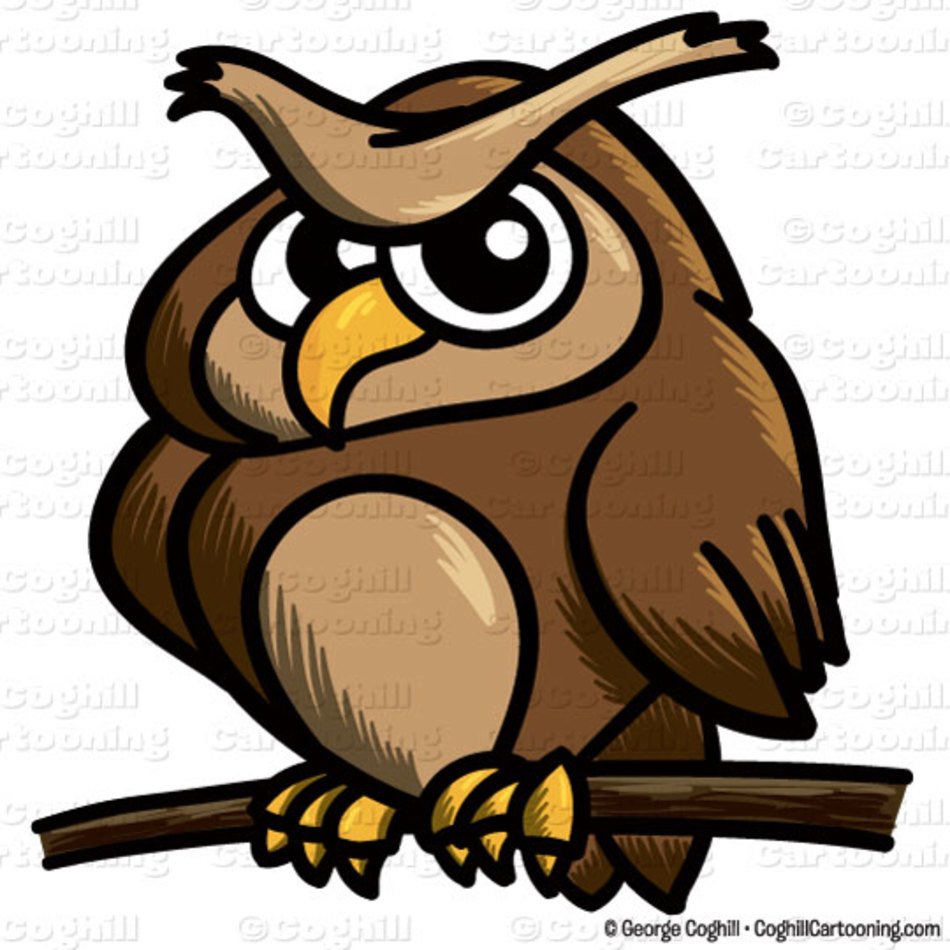 Cartoon Owl Clip Art N102