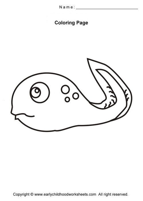 Tadpole Coloring Page N2