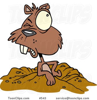 Groundhog Cartoon N3