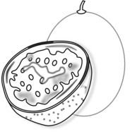 Black And White Fruit Clip Art N13