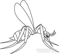 Download Mosquito Insects Black White Outline 997
