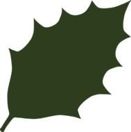 Green Leaf Clip Art N61