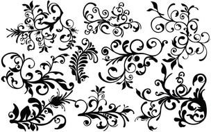 Flourish Vectors drawing