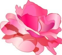 Pink Rose Clip Art N41