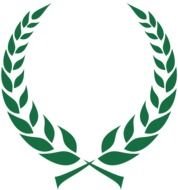 green Olive Wreath drawing