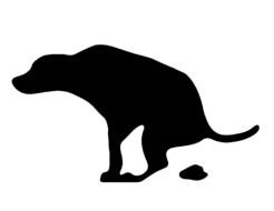 Dog Poop Clip Art drawing