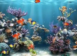 Free 3D Aquarium drawing