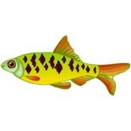 Fish Clipart N8