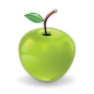 Twitter Icon Clip Art N2