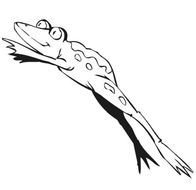 Jumping Frog Coloring Pages N2