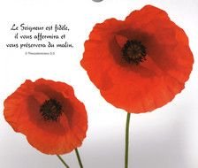 Tableau Verset Biblique Fond Blanc