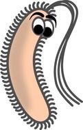 Bacteria Clip Art Black And White N4