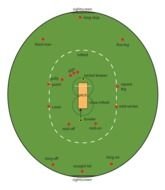 Field Cricket N2