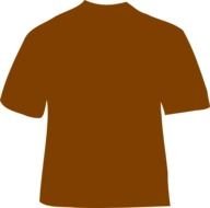 Brown T Shirt