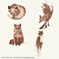 Vector Skull Brushes Atilde fnof acirc euro scaron sbquo Acirc raquo Free Brushescom Photoshop