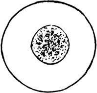 Oxygen Clip Art drawing