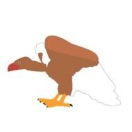 Cartoon Vulture Clipart Lrg 10