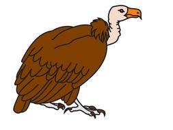 Vulture Clip Art N14