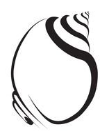 Sea Shell Clip Art N66