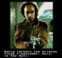 True Lies Terrorist