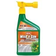 Crab Grass How To Get Rid Spring Frost Weed Summer