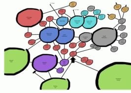 Fill In The Blank Brain Diagram drawing