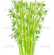 Bamboo Tree Vector