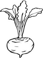 Legumes Betterave Coloriages