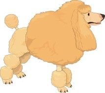 Cartoon Poodle Clip Art N11