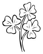 drawn three white clover leaves on a book page