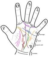 Palm Reading Lines On Hands N2
