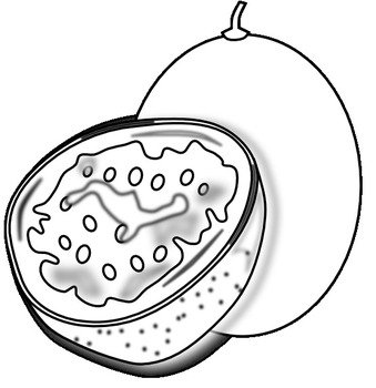 Black And White Fruit Clip Art N13
